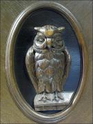 GABINET Z SOWAMI - zdjęcie 5