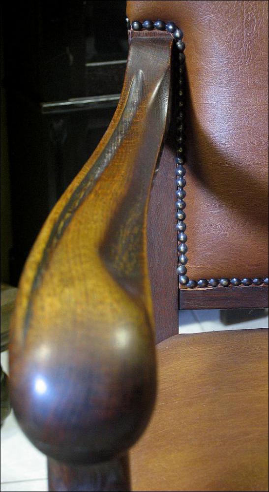 GABINET Z SOWAMI - 21