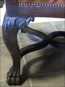 GABINET Z SOWAMI - zdjęcie 23