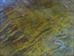 STOLIK CHIPPENDALE - zdjęcie 5