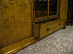 BIBLIOTEKA NEOBIEDERMEIER - BRZOZA - zdjęcie 8