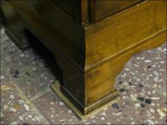 BIBLIOTEKA NEOBIEDERMEIER - BRZOZA - zdjęcie 9