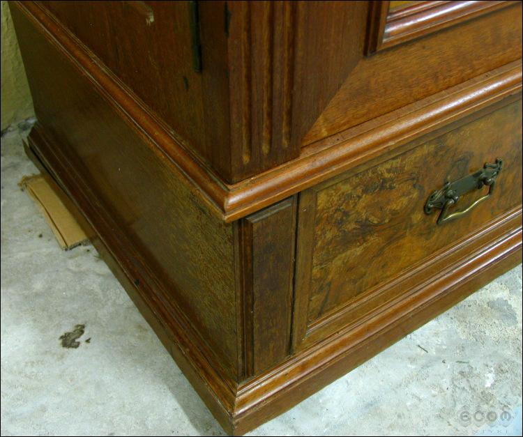 BIELIŹNIARKA EKLEKTYCZNA (kp) - 6