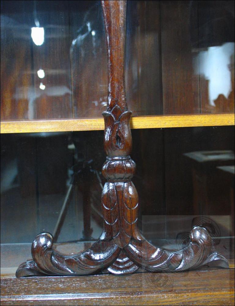DĘBOWA BIBLIOTEKA Z LAT 20-TYCH - PO RENOWACJI (m) - 6