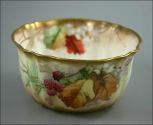 MISKA - NAUTILUS - zdjęcie 1