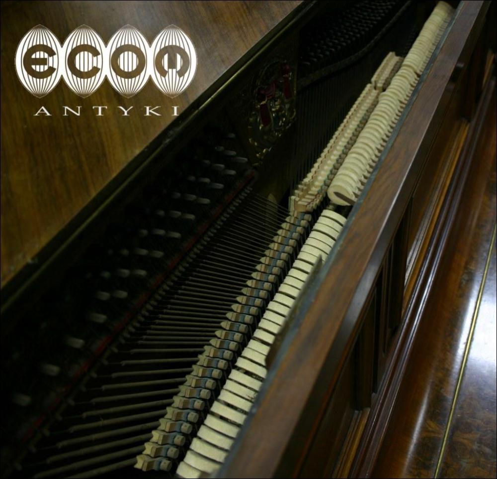 PIANINO Z KOŃCA XIX WIEKU - ED SEILER MEDALISTA - 3