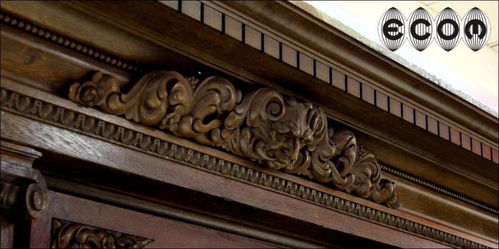 MASYWNA DĘBOWA BIBLIOTEKA - 2