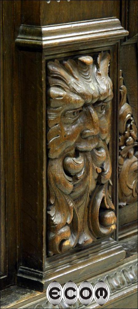 MASYWNA DĘBOWA BIBLIOTEKA - 5