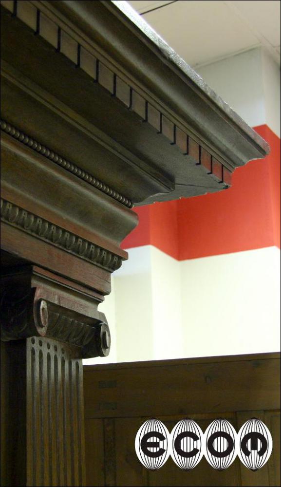 MASYWNA DĘBOWA BIBLIOTEKA - 8