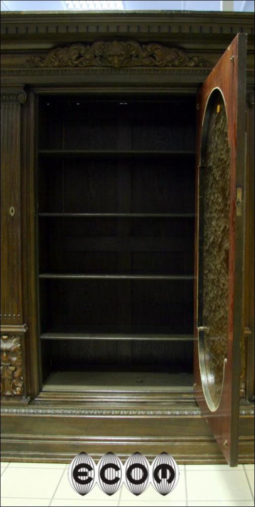 MASYWNA DĘBOWA BIBLIOTEKA - 10