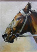OBRAZ - PORTRET KONIA J. GELL - zdjęcie 2
