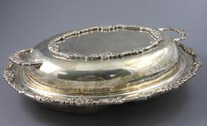 DWUDZIELNA TERYNA - zdjęcie 1