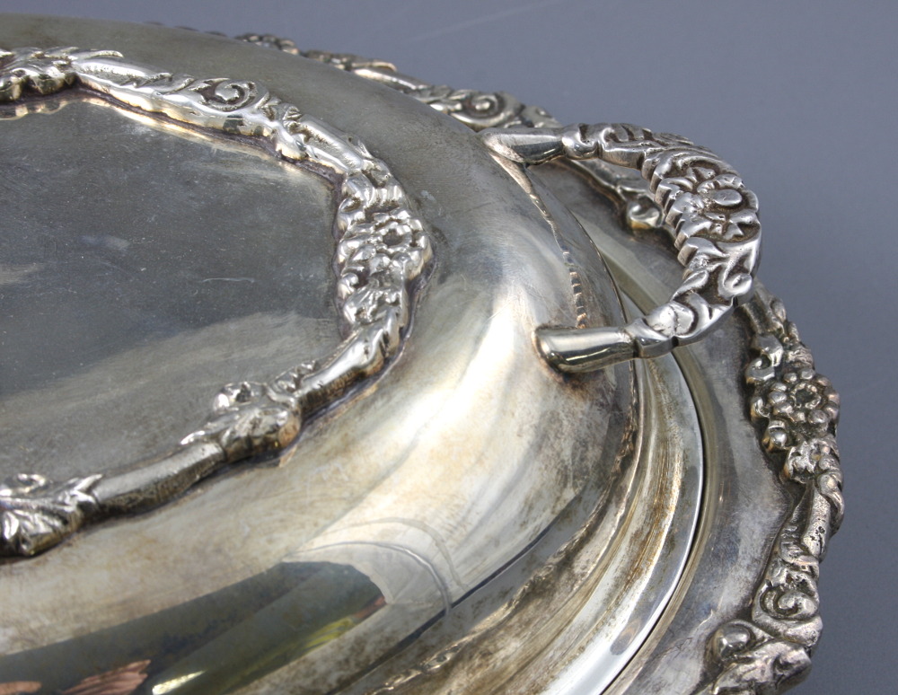 DWUDZIELNA TERYNA - 5