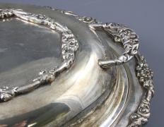 DWUDZIELNA TERYNA - zdjęcie 6