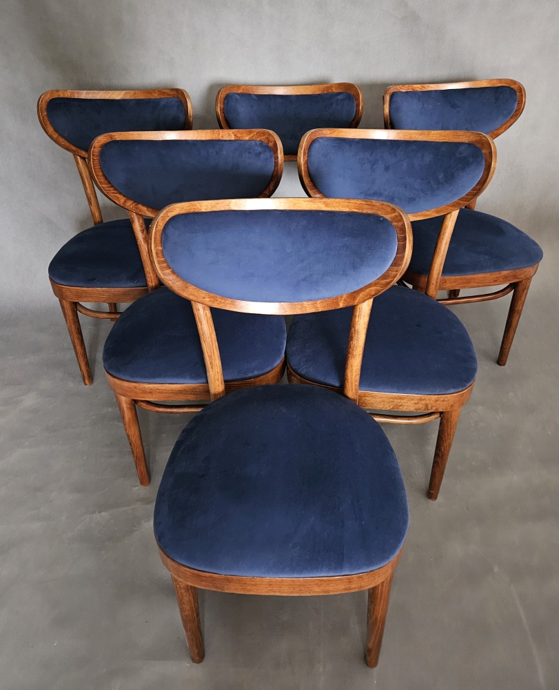 Komplet 6 krzeseł modernistycznych po renowacji. - 2