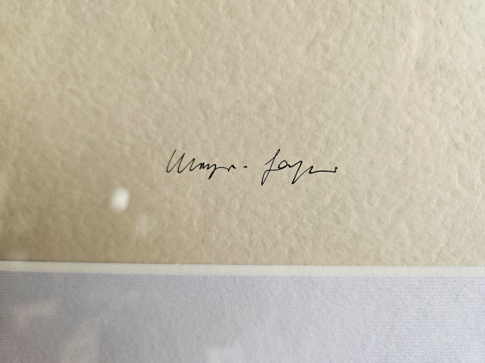 Obraz - Klaus Meyer-Gasters - 1