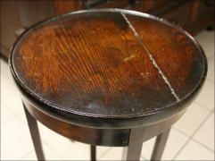 KWIETNIK DĘBOWY - zdjęcie 3