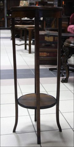 KWIETNIK DĘBOWY - 4